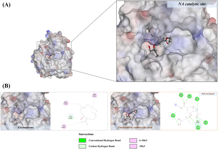 Fig 11