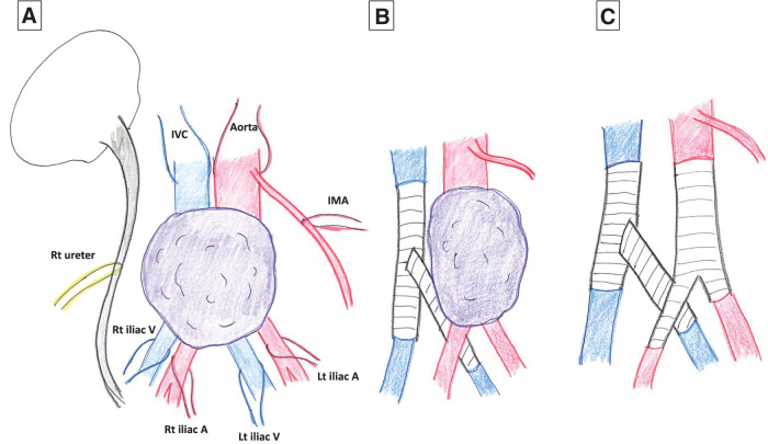 Fig. 5