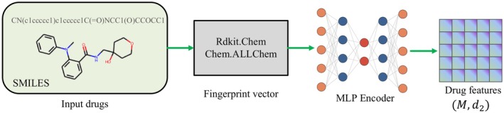 FIGURE 3