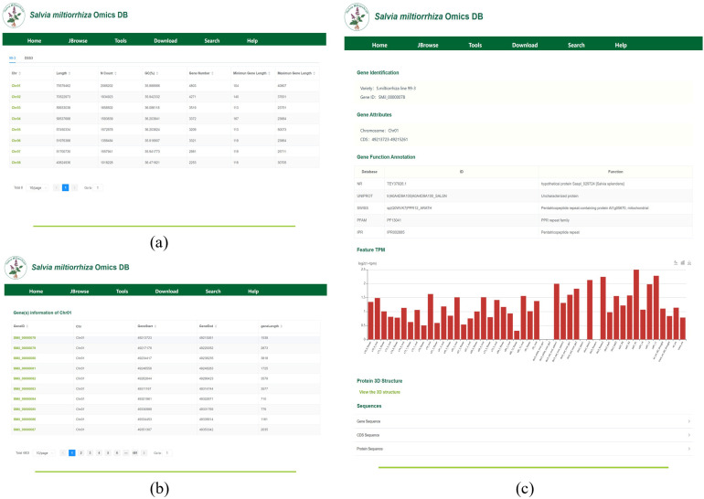 Figure 4