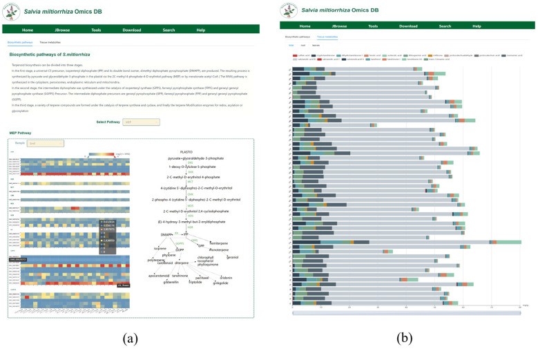 Figure 6