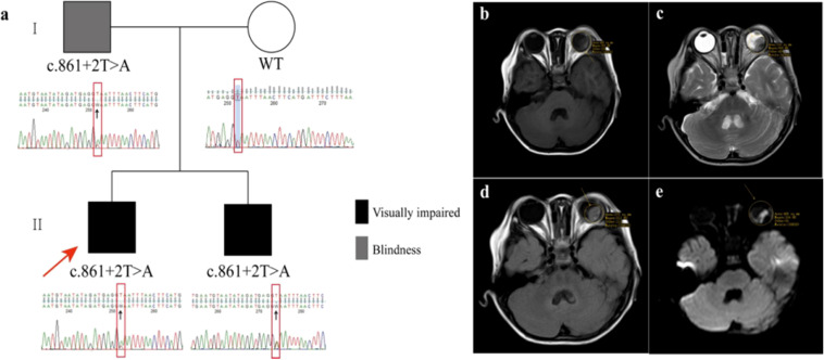 Figure 1
