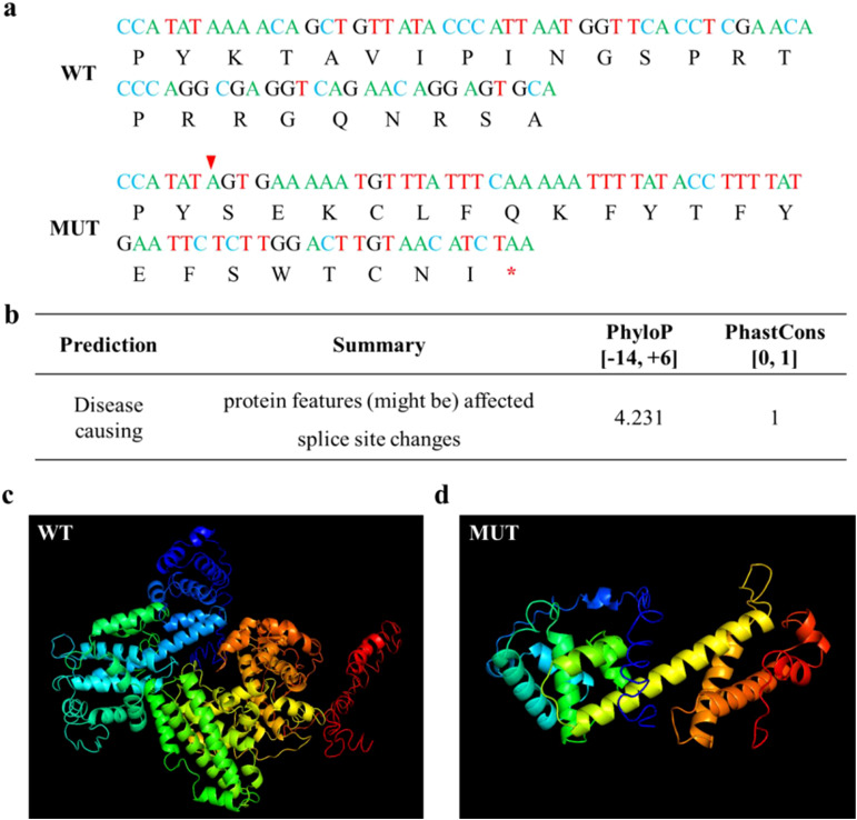 Figure 3
