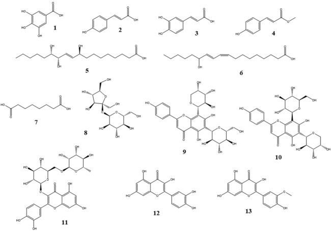 FIGURE 3