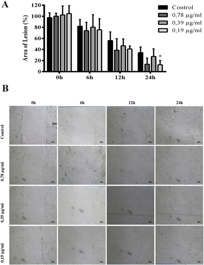 FIGURE 6