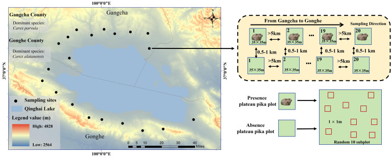 Figure 1