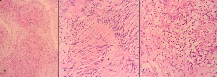 FIGURE 4