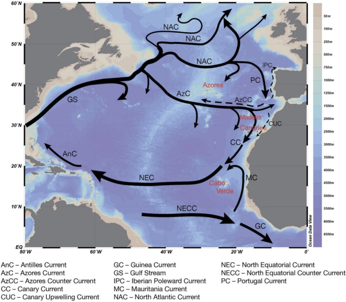 FIGURE 1