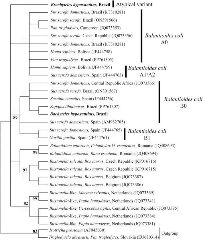 FIGURE 2