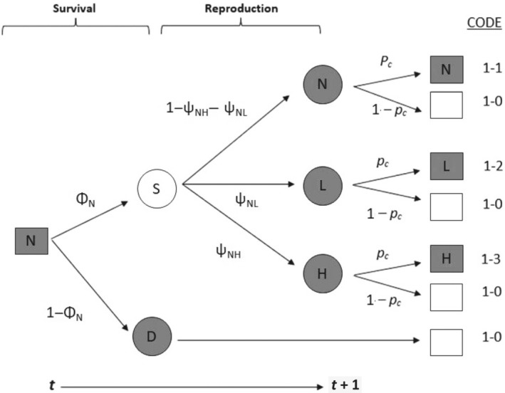 FIGURE 2