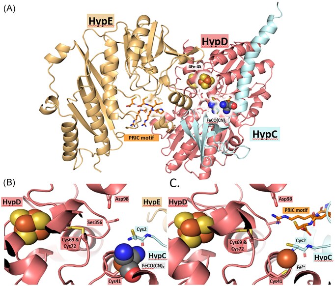 Figure 6