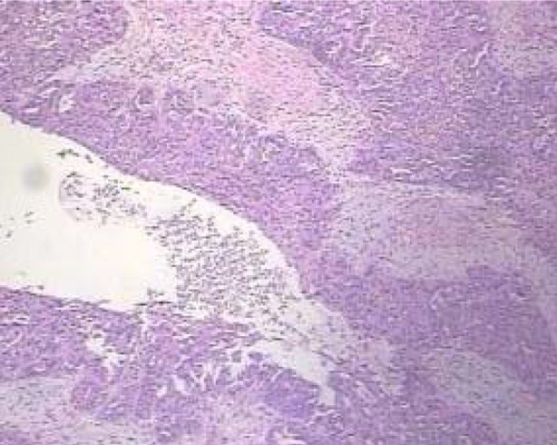 Fig.6