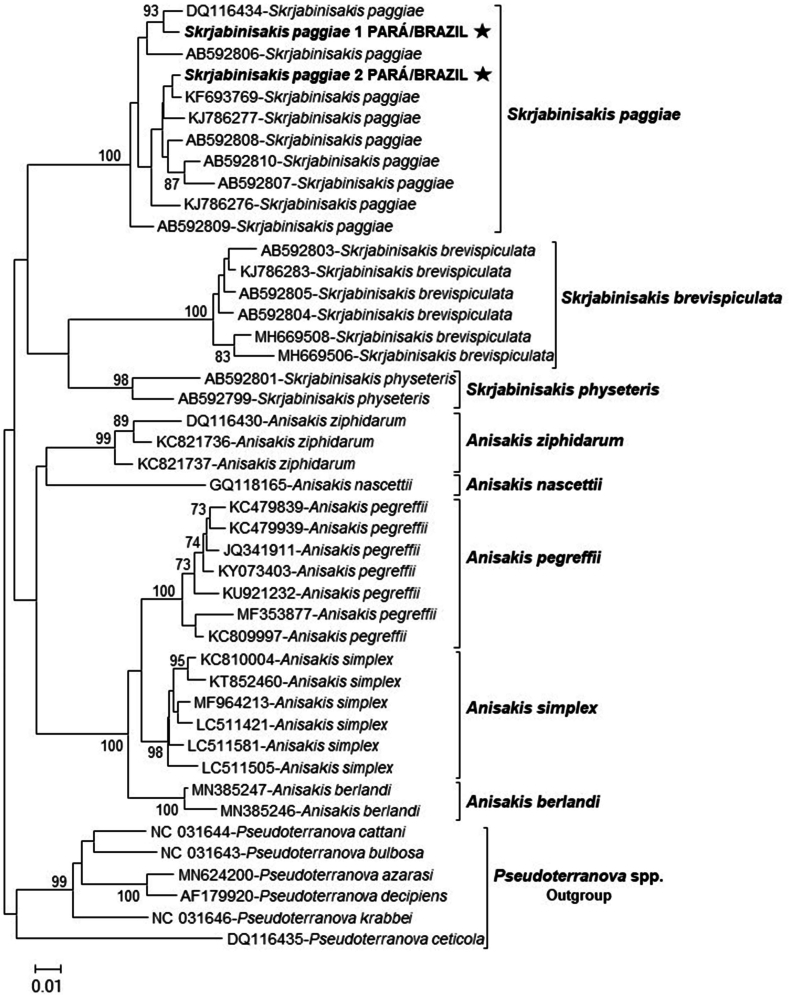 Figure 4