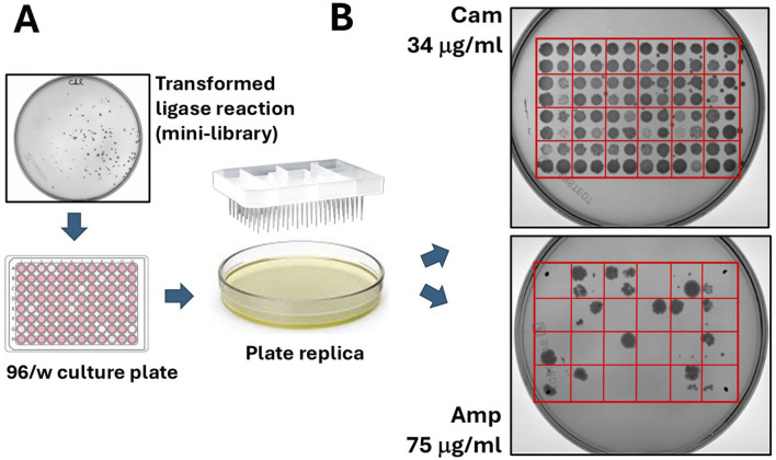FIGURE 3