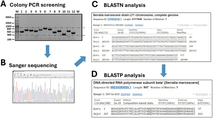 FIGURE 4