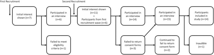 FIGURE 1