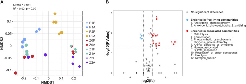 Fig 8