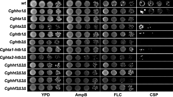 Fig 3