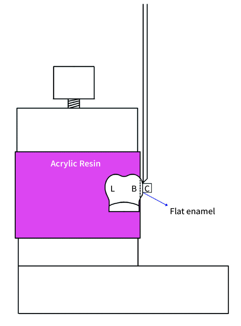 Fig 1