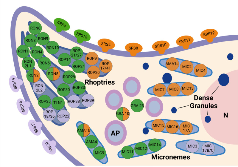 Fig 6