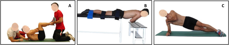 Fig 1