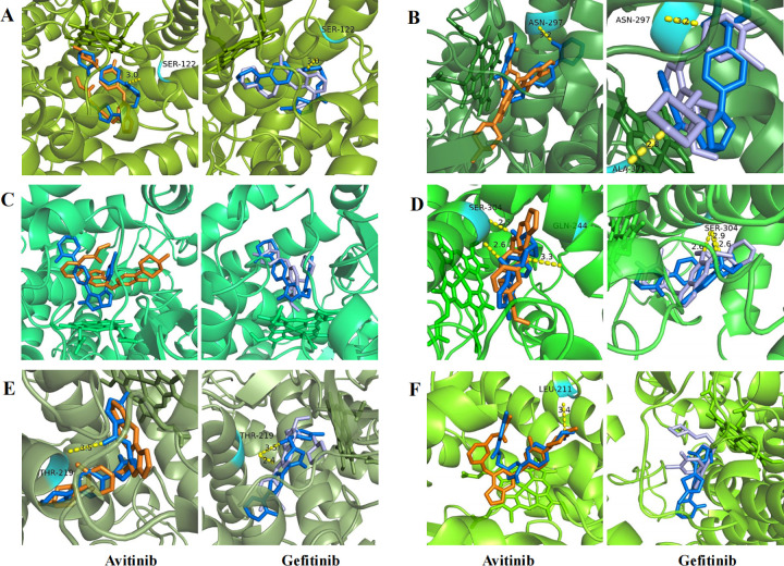 Fig 6
