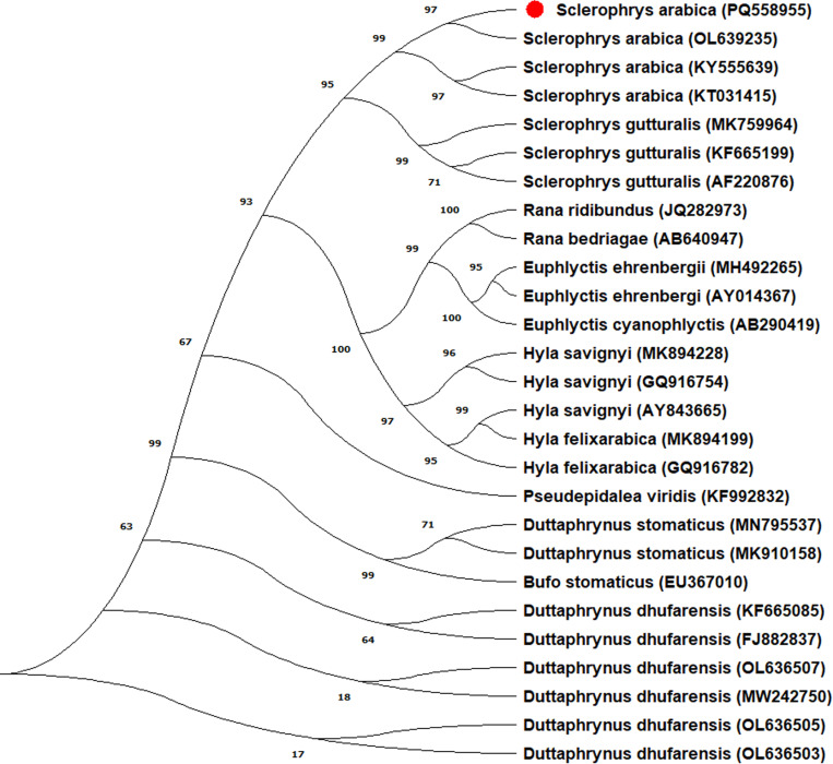 Fig 1