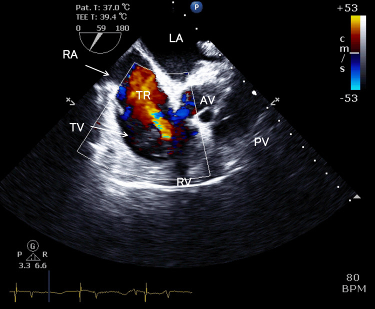 Figure 9