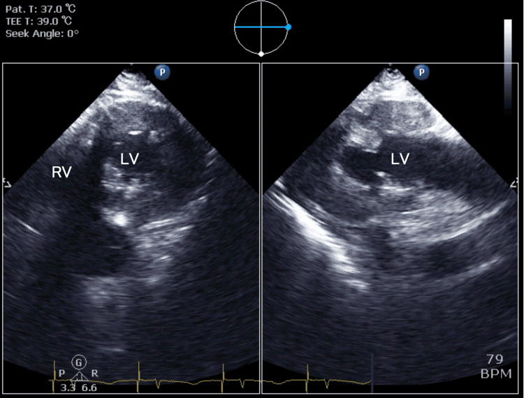 Figure 10