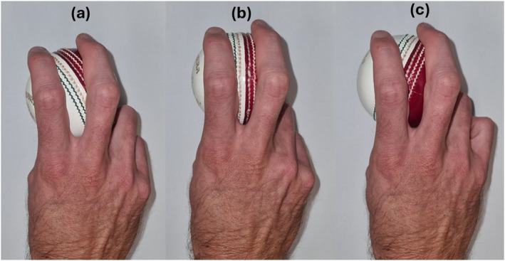 FIGURE 1