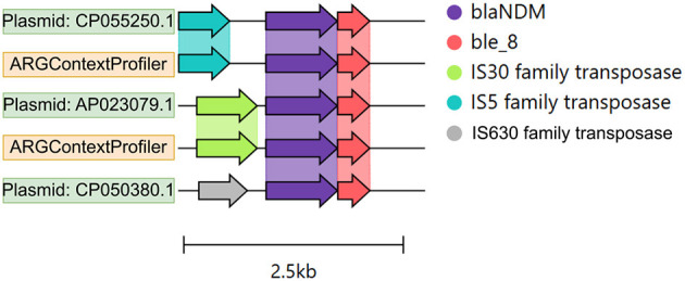 Figure 7