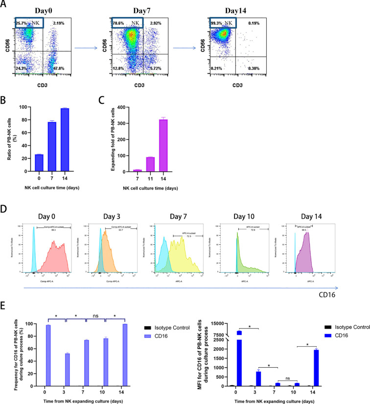 Figure 2