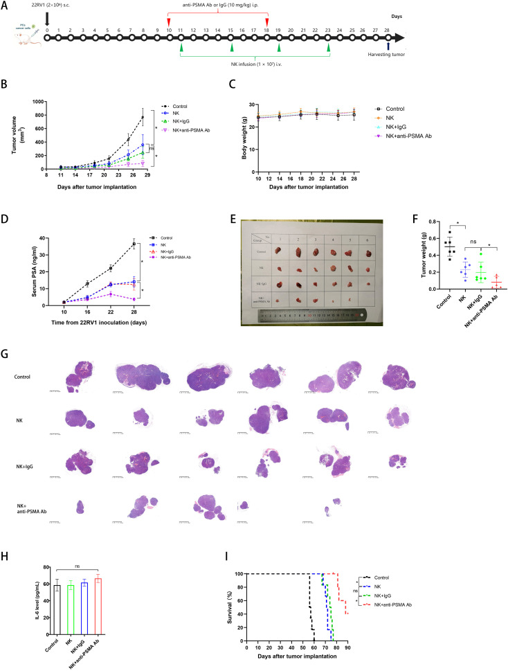 Figure 6