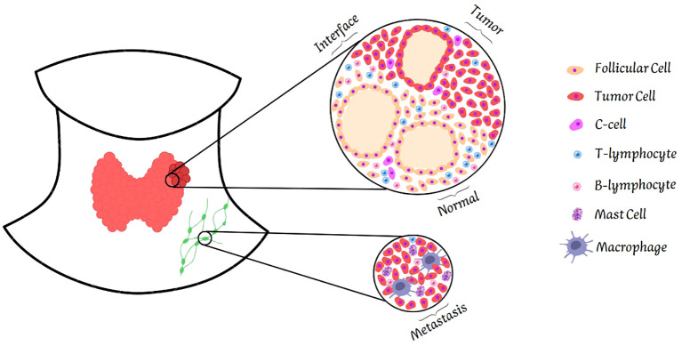 Figure 7