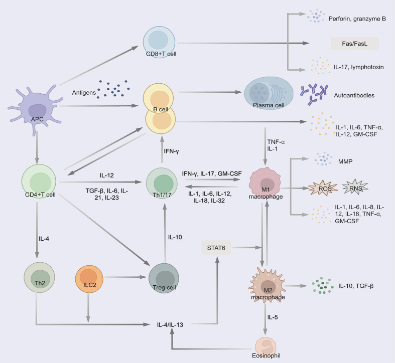 Figure 2