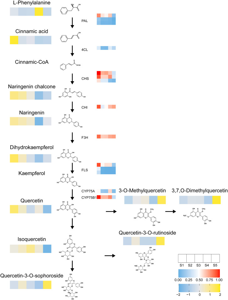 Figure 6
