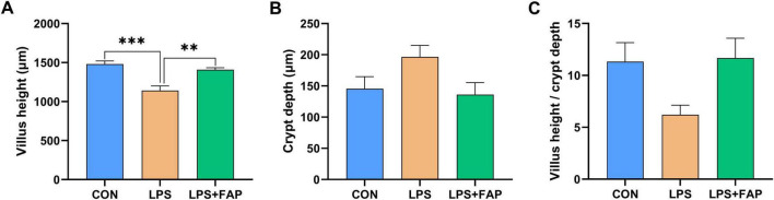 FIGURE 3