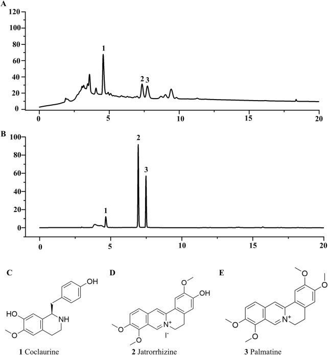 FIGURE 2