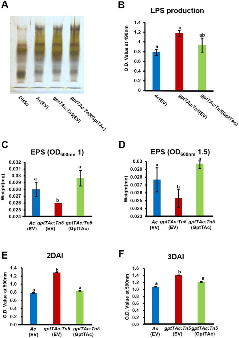 Figure 3