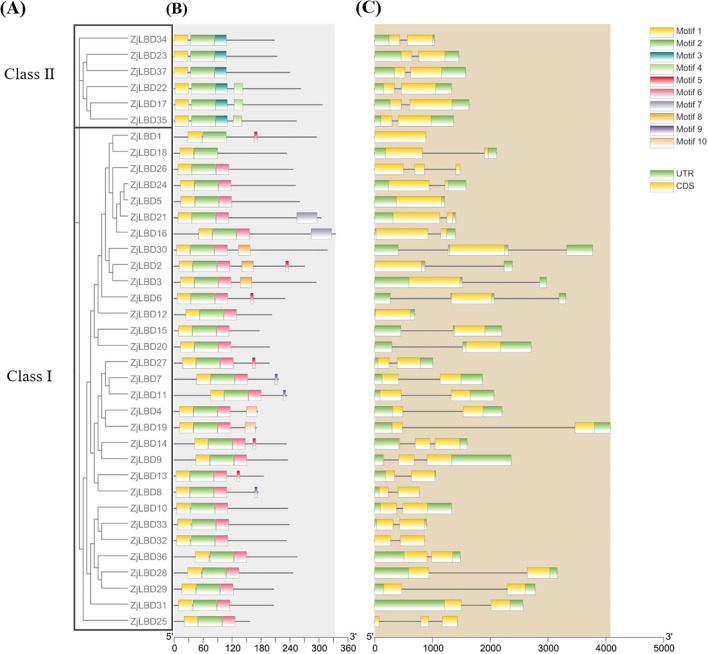 Figure 4