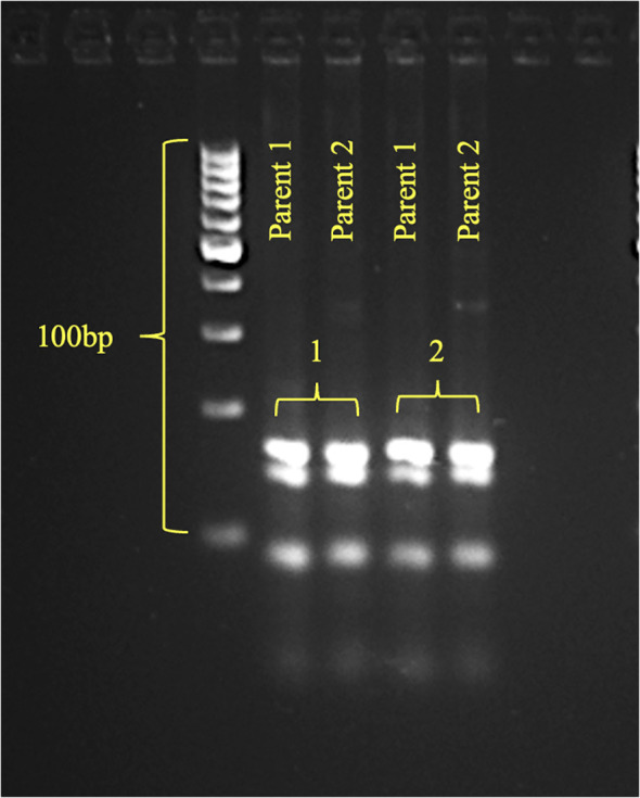 Figure 4