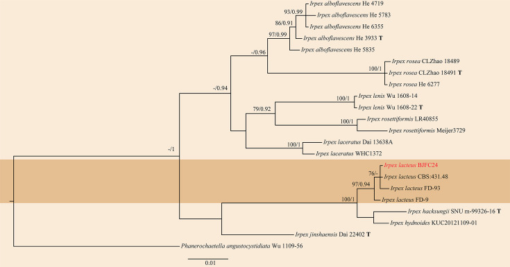 Fig. 1