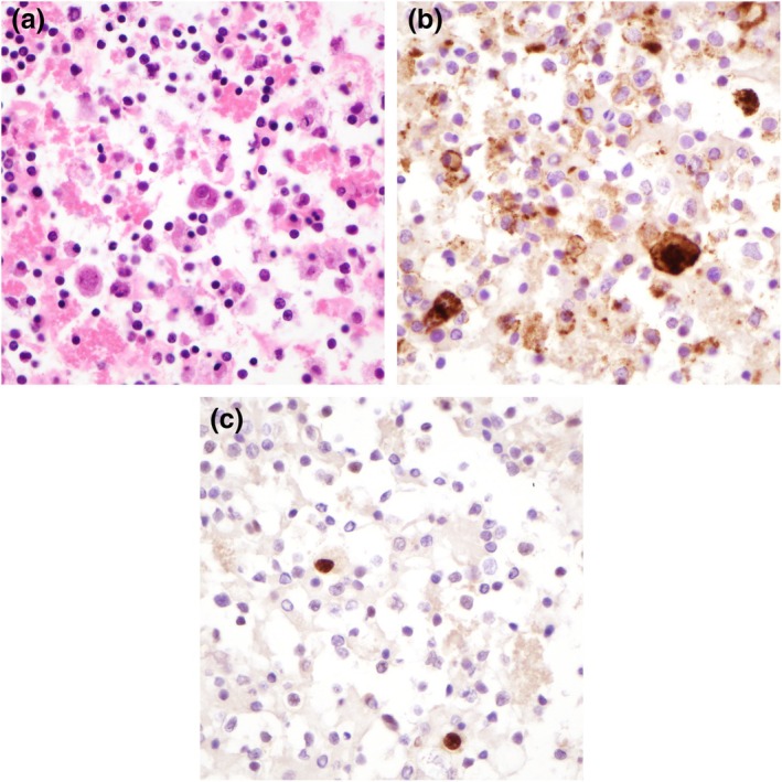 FIGURE 2