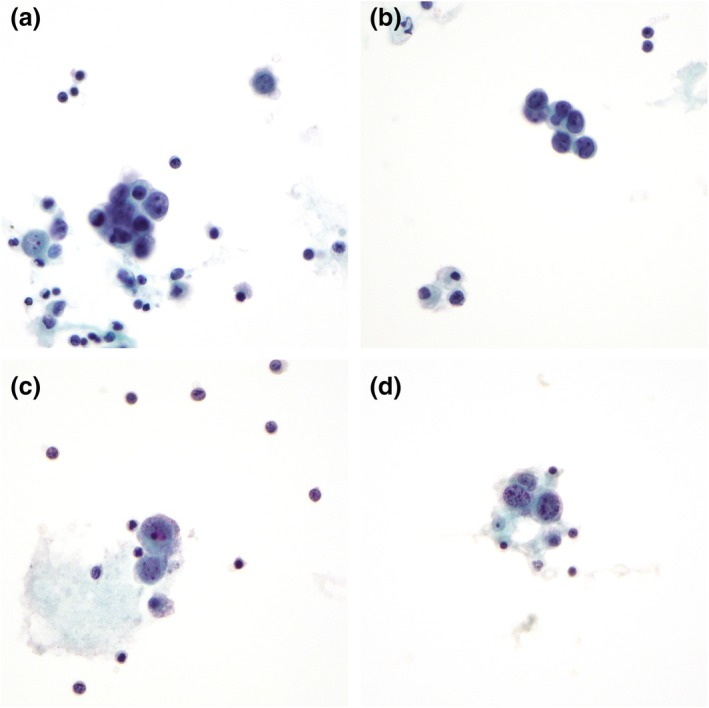 FIGURE 1