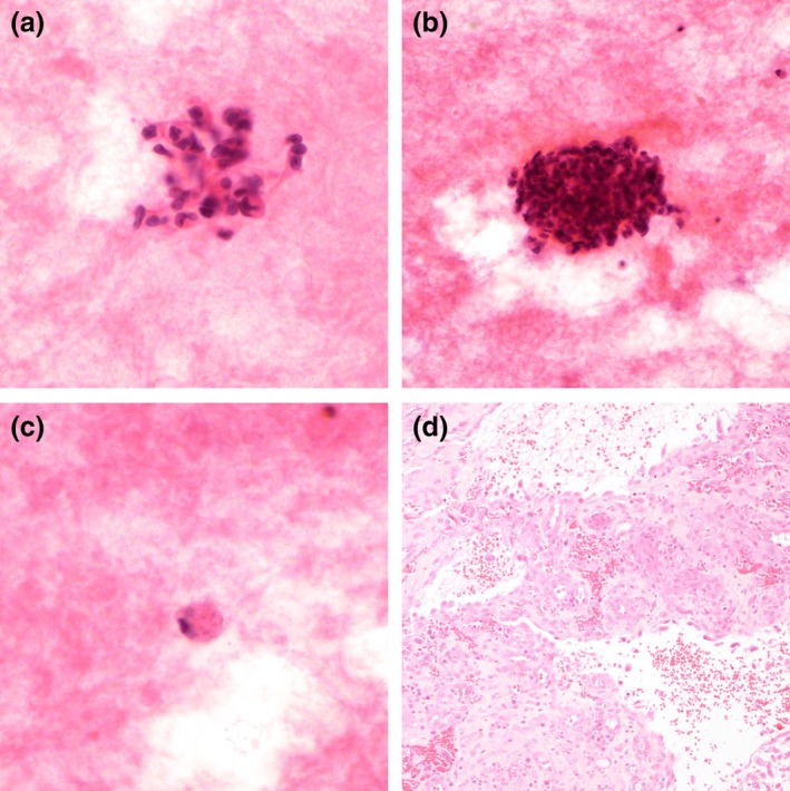 FIGURE 3