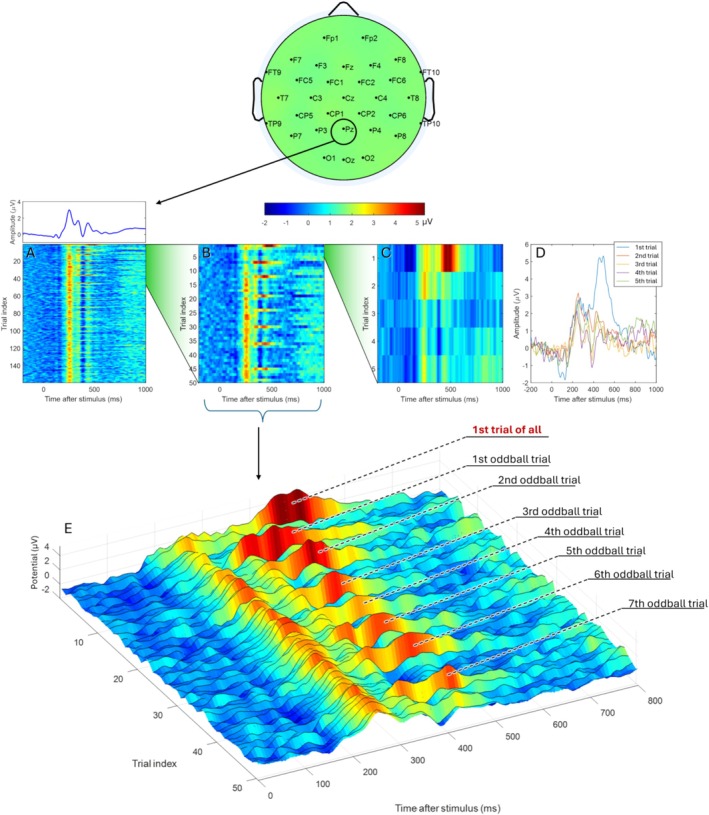 FIGURE 1
