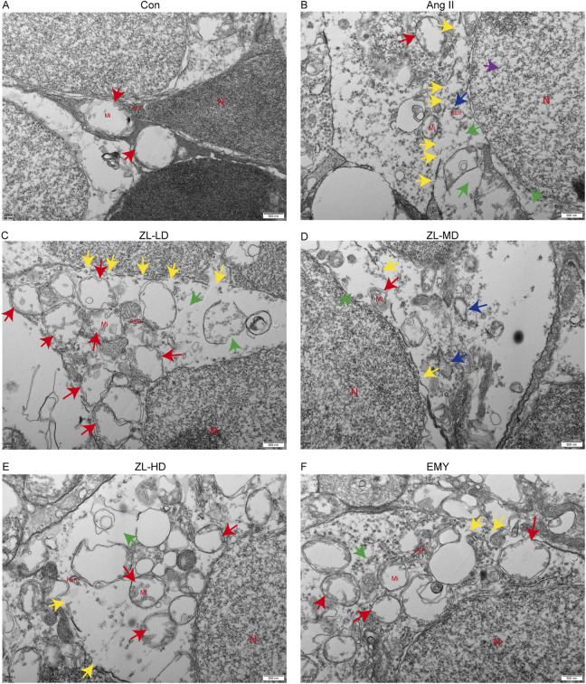 FIGURE 9