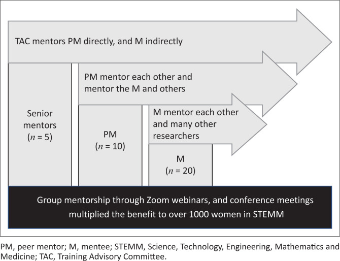 FIGURE 2