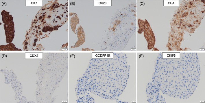 FIGURE 2
