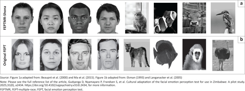 FIGURE 1